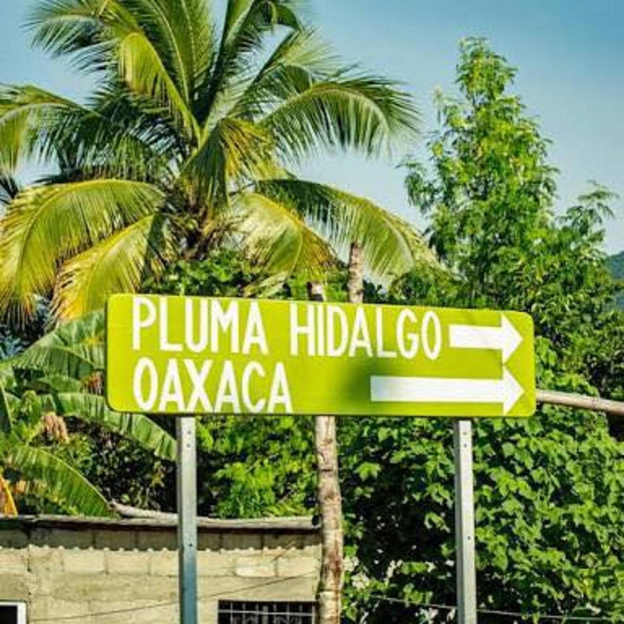 Glamping Finca Margaritas Pluma Hidalgo Екстериор снимка